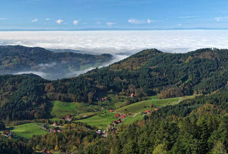 Gauss & The Black Forest